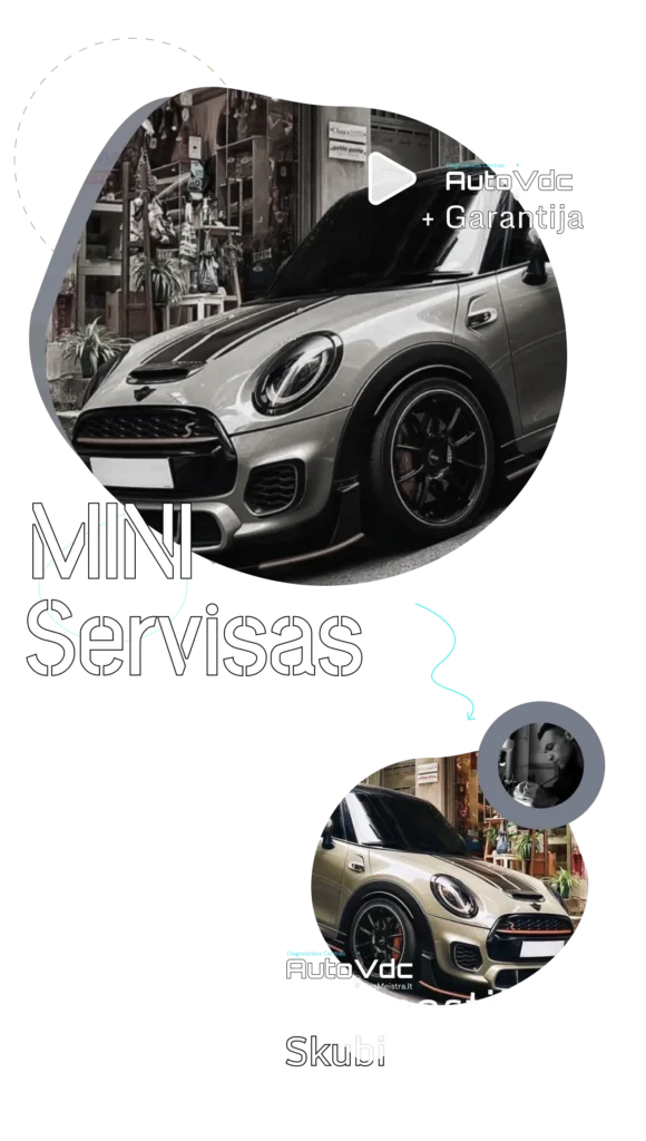 ALT:
MINI servisas Vilniuje – profesionali diagnostika ir remontas AutoVDC autoservise
Title:
MINI remontas ir diagnostika Vilniuje | AutoVDC
Description:
Specializuotas MINI automobilių servisas Vilniuje. Atliekame tikslią kompiuterinę diagnostiką, variklio, važiuoklės ir elektronikos remontą. AutoVDC – patikima vieta tavo MINI greitam ir kokybiškam sutvarkymui su garantija.
Caption:
MINI automobilio diagnostika ir remontas AutoVDC servise Vilniuje.
SEO raktažodžiai:
MINI servisas Vilnius, MINI diagnostika, MINI remontas, MINI autoservisas Vilniuj